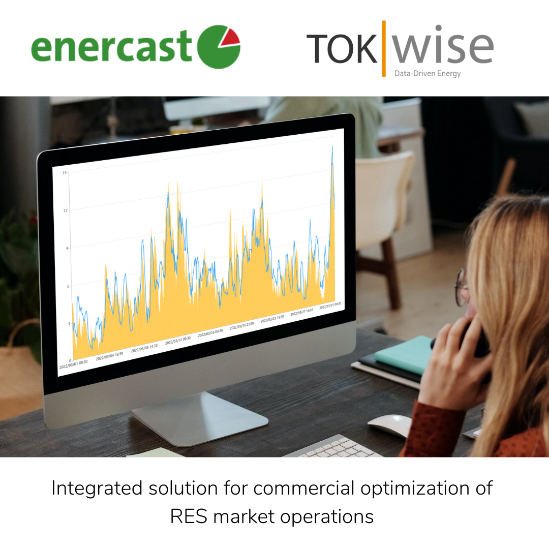 Portfolio management optimization with TokWise and enercast